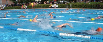 Schwimmer beim Triathlon