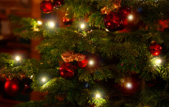 Das Bild zeigt einen Weihnachtsbaum
