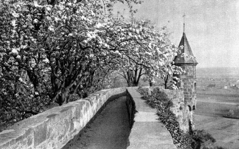2020-04-22 - Bluetenschmuck Baumblüten am Johannistürmchen