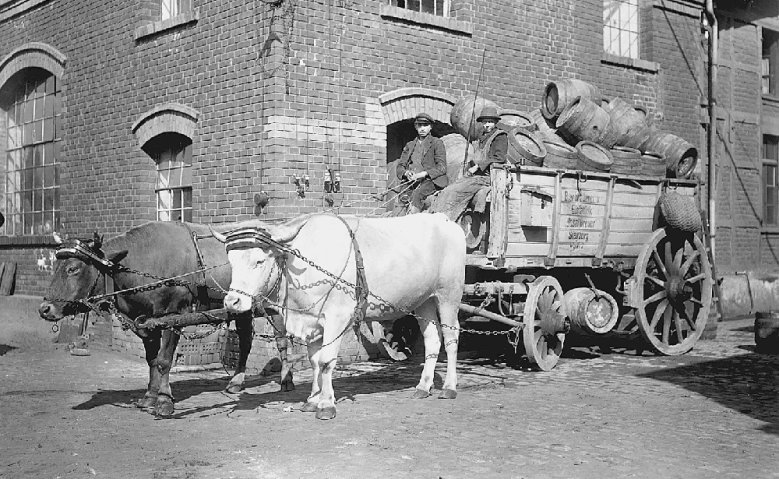 2020-04-24 - Breuer Ochsengespann der Brauerei Breuer in der Luisenstraße 1910