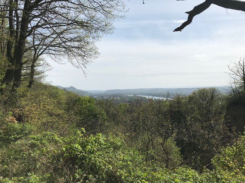 2020-04-24 - Rhein-Siebengebirge Blick vom Panoramaweg über das Rheintal nach Süden. Links in der Ferne der Drachenfels