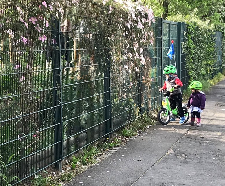 2020-04-30 - Paenz-Huus Die Kinder beobachten ihren FSJ-ler Jannis Steinheißer, wie er den Garten der Kita PänzHuus auf Vordermann bringt