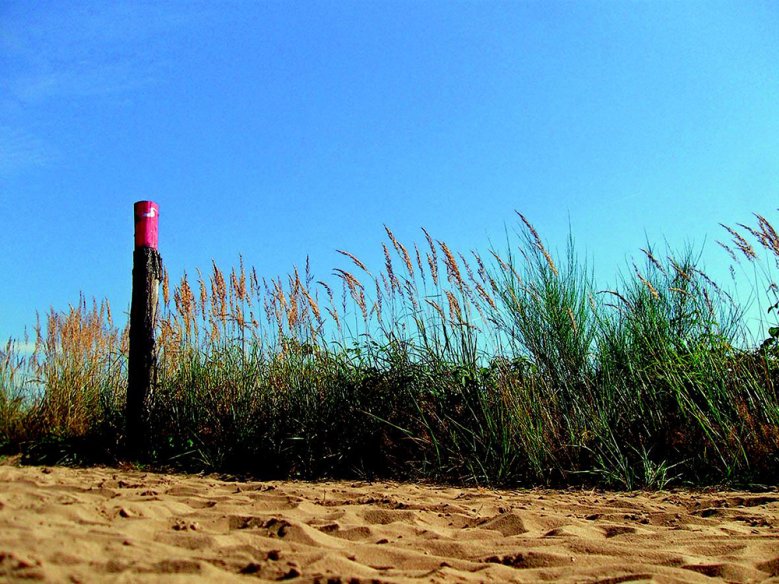 2020-08-13_heideweg.jpg Heideweg