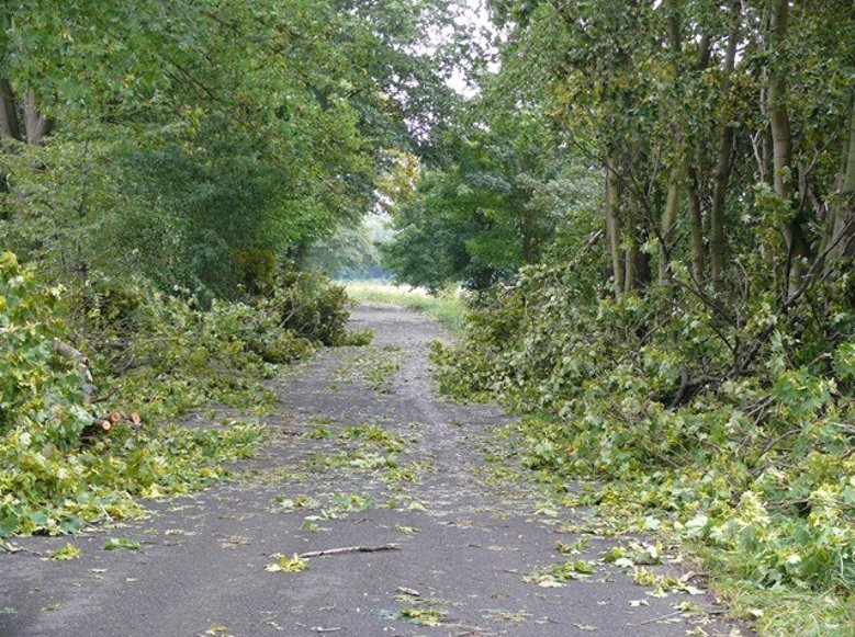 2020-08-14_unwetter-manfred-lindgens.jpg Unwetterschäden