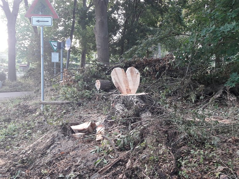 2020-08-19_holzherz-matthias-ennenbach.jpg Holzherz