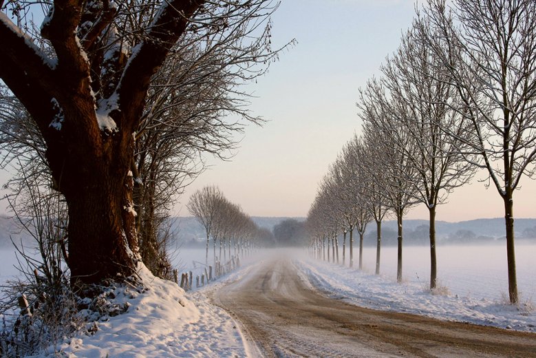 Der morgendliche Bodennebel rechts und links der Alexianerallee im Dezember 2010 Der morgendliche Bodennebel rechts und links der Alexianerallee im Dezember 2010