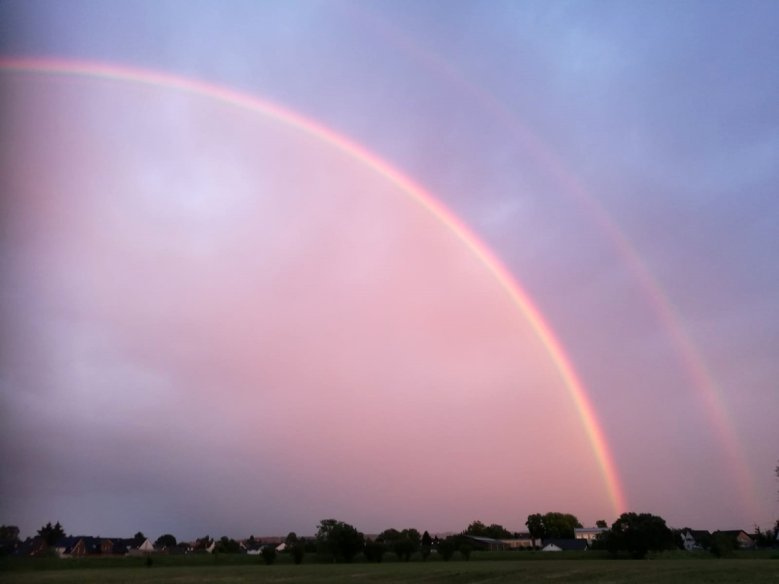 2020-07-03_regenbogen-elfi-baum.jpg Regenbogen