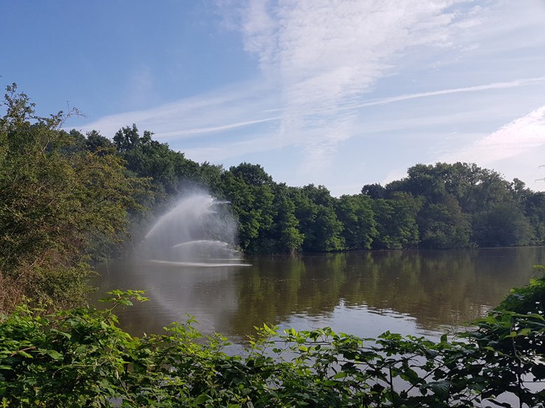 2020-07-20_trerichsweiher1.jpg Trerichsweiher