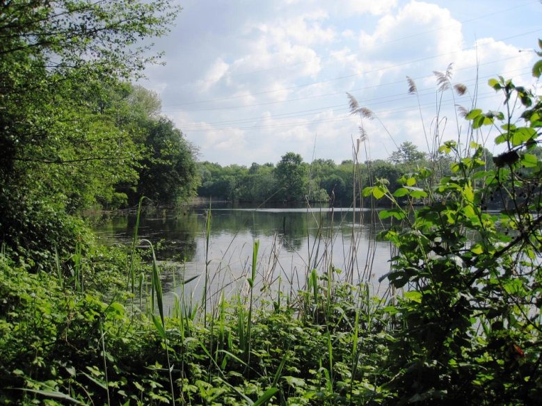 2020-05-30_trerichsweiher-raimund-bleninger See
