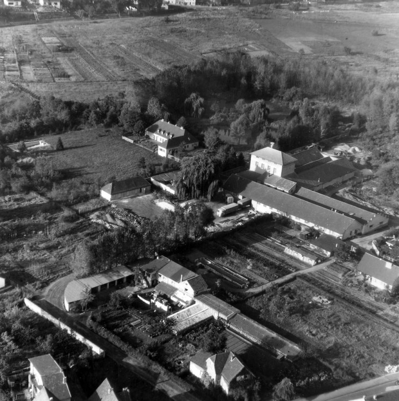 2020-11-17_areal-schwimmbad-1965.jpg Schwimmbad-Areal zwischen Papagei (vorne) und Zeithstraße im Juli 1965