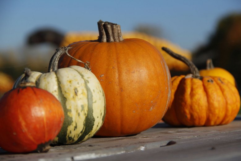 2020-10-17_herbstgestecke.jpg Herbstgestecke