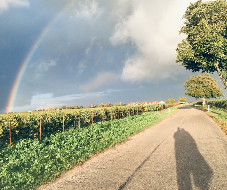 2020-10-17_pfalz.jpg Wandern in der Pfalz