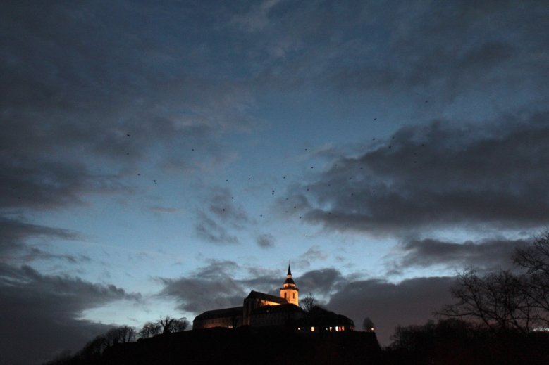 2020-09-08_abtei Krähen über der beleuchteten Abtei vor Abendhimmel
