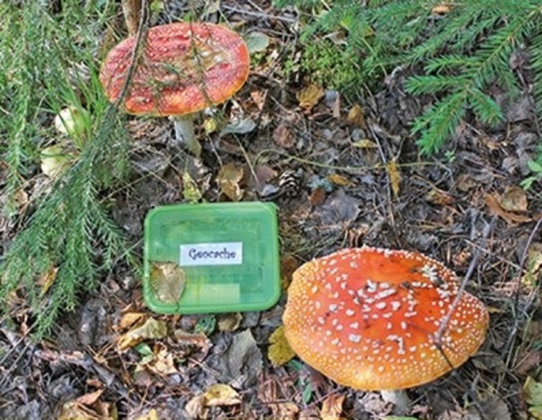 Geocaching Geocaching