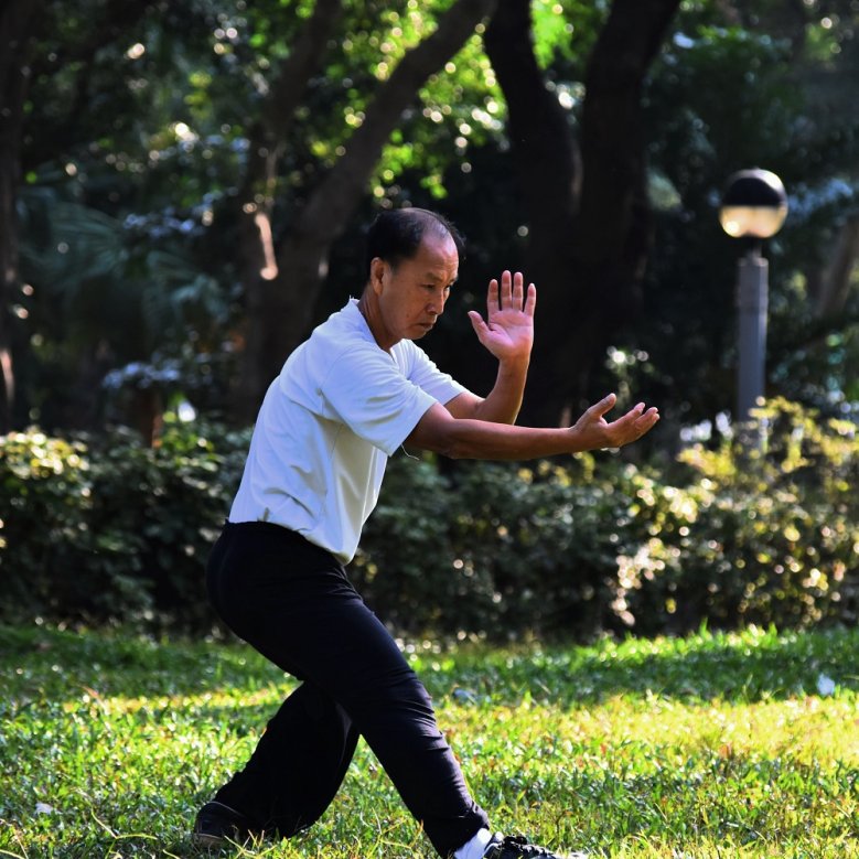 Taiiji Qi Gong Taiiji Qi Gong