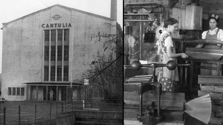 Cantulia Cantulia