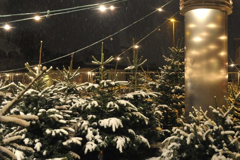 Schnee 2 Schnee 2