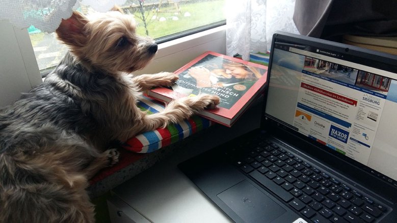 Bibliothek kleiner Hund, PC und Buch