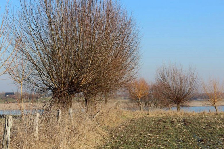 Bislicher Insel Bislicher Insel