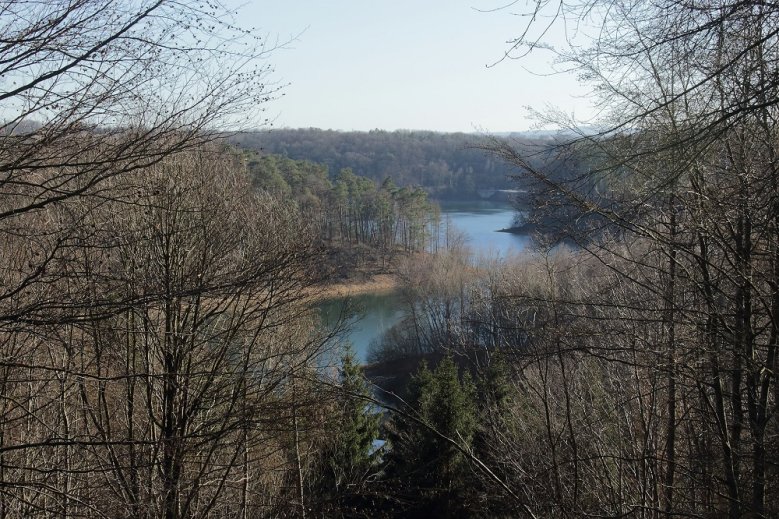 Wahnbachtalsperre Blau der Wahnbachtalsperre zwischen kahlen Bäumen