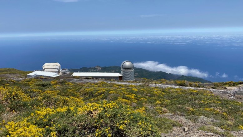 La Palma La Palma