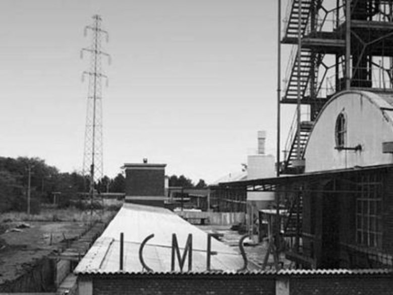 Icmesa Icmesa