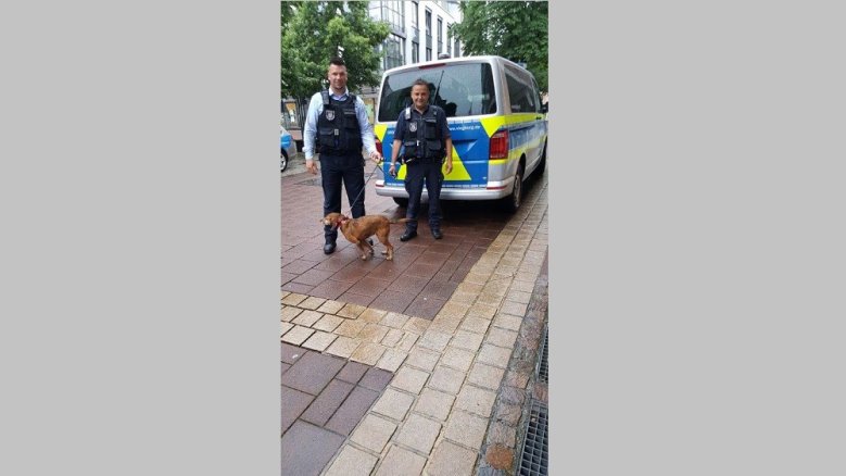 Ordnungsamt mit Ausreißerin Karotte