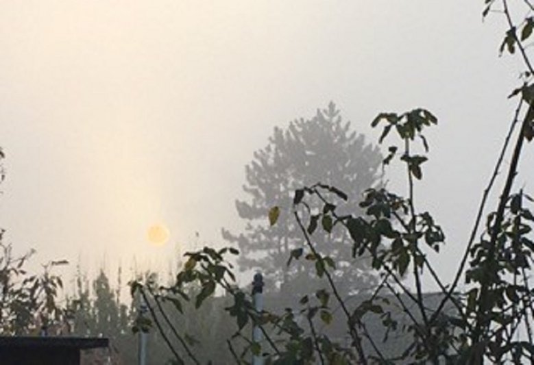 Nebel über Kaldauen Nebel über Kaldauen