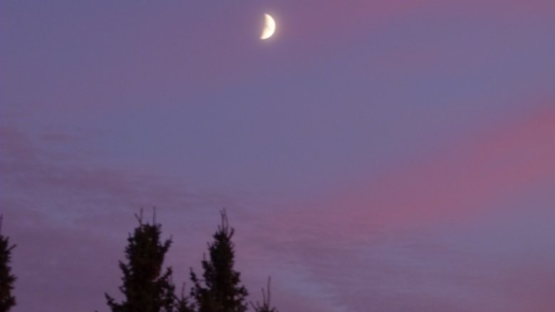 Novemberabend Novemberabend