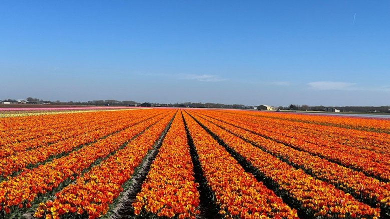 Noord Holland Noord Holland