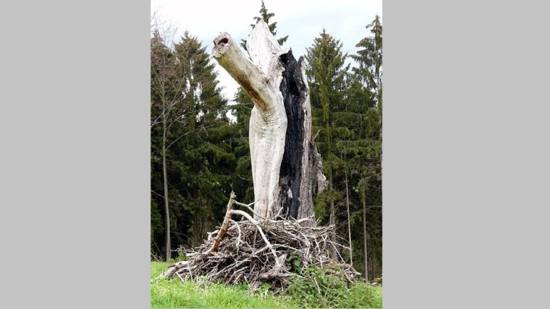 Scheiterhaufen Stöcker Scheiterhaufen Stöcker