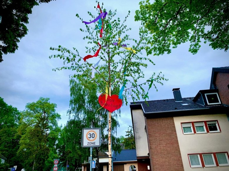 2020-05-04_Maibaum Rosenhügel 2020-05-04_Maibaum Rosenhügel