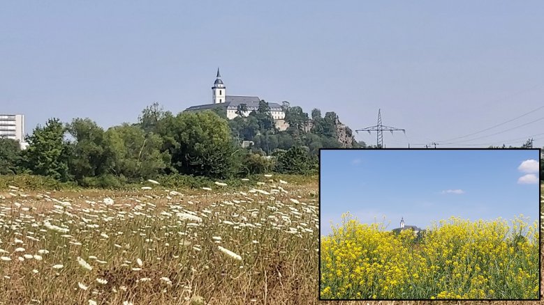 Sommer in Siegburg Sommer in Siegburg