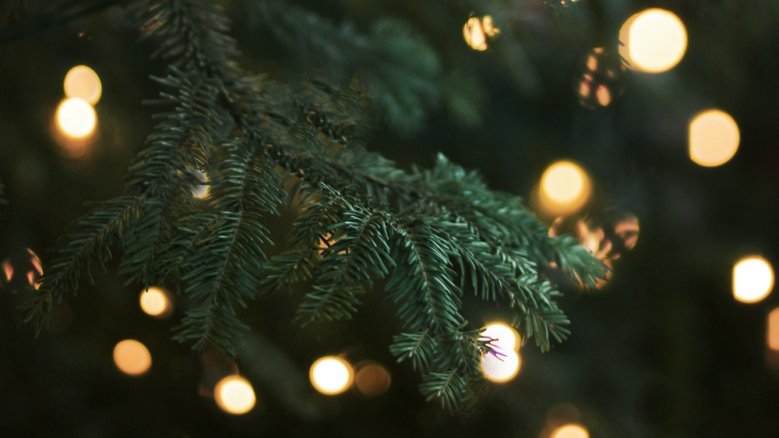 Weihnachtsbaum - unsplash Weihnachtsbaum - unsplash
