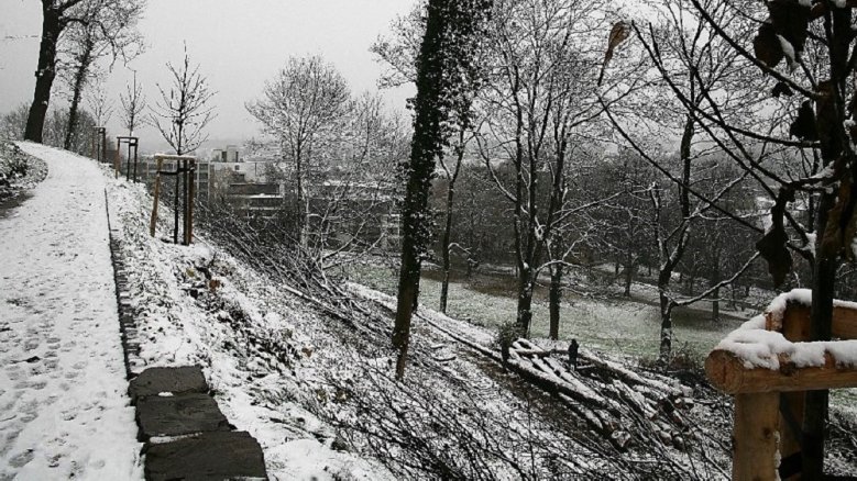 Schmiedelschnee Schmiedelschnee