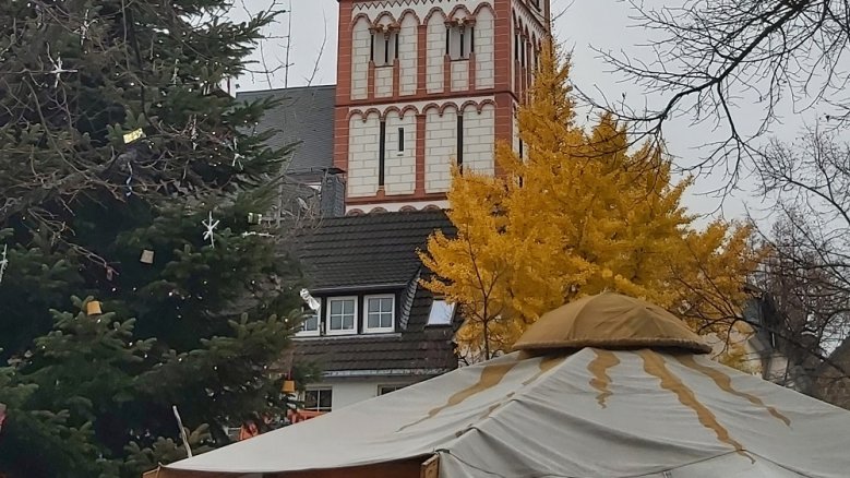Ginko Ginko