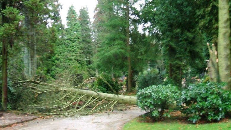 Nordfriedhof Nordfriedhof