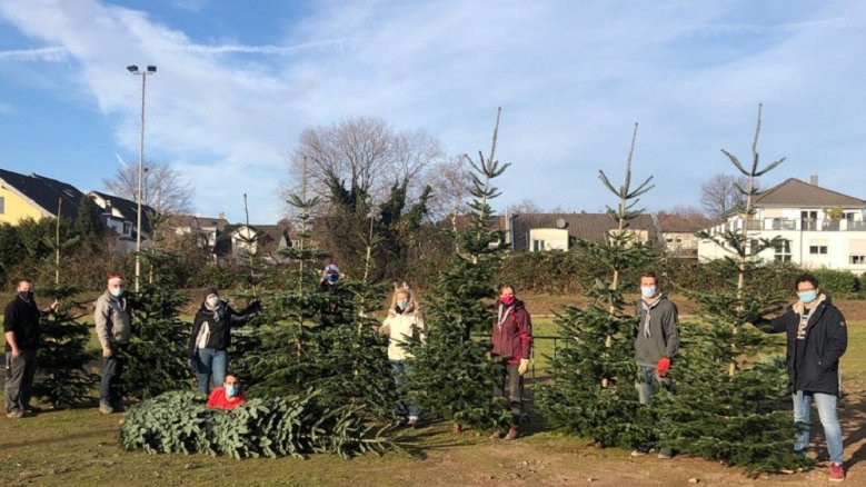 Pfadfinder - Weihnachtsbaumverkauf Pfadfinder - Weihnachtsbaumverkauf