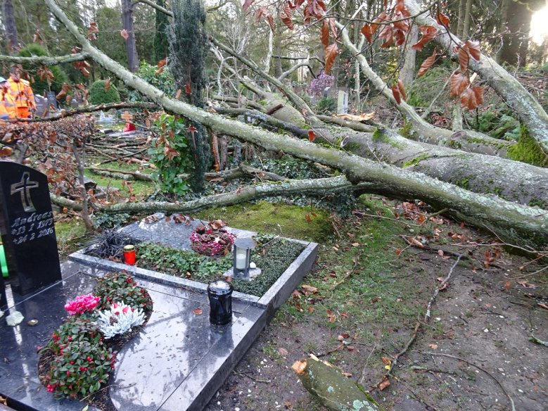 Nordfriedhof Sturmschaden Umgekippter Baum liegt auf Gräbern