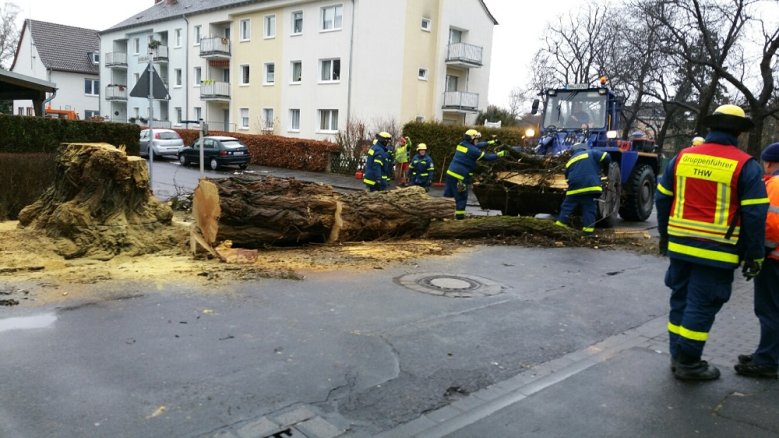 Fällung Fällung