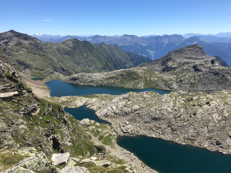 Alpengruß Alpengruß