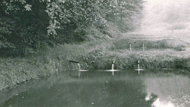 Fischteich Fischteich