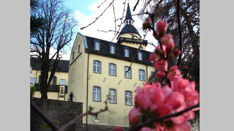Blüten Michaelsberg Blüten Michaelsberg