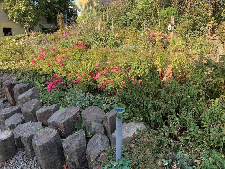 Wer hat den insektenfreundlichsten Vorgarten in Siegburg?