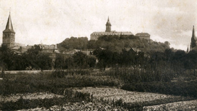 Tierbungert Tierbungert