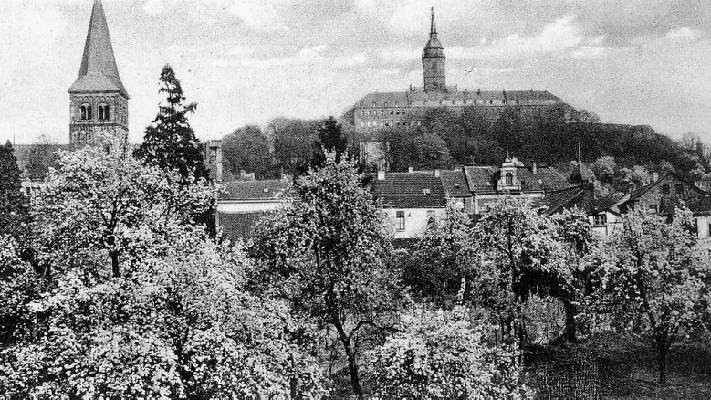 Tierbungert Tierbungert