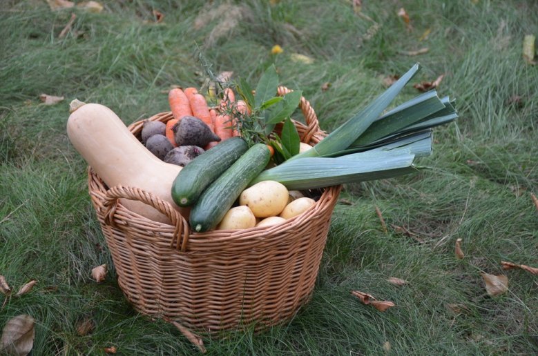 Erntedank Erntedank
