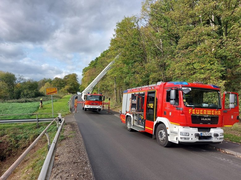 Feuerwehreinsatz Baumfällung in Seligenthal