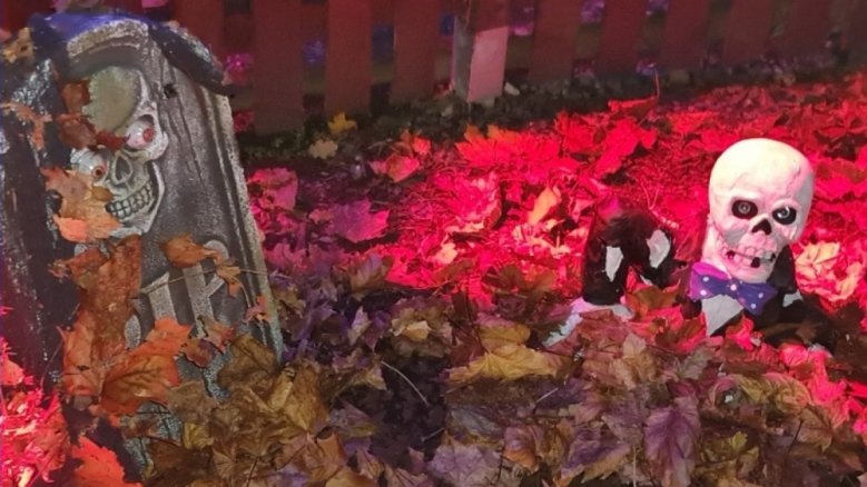 Halloween Halloween