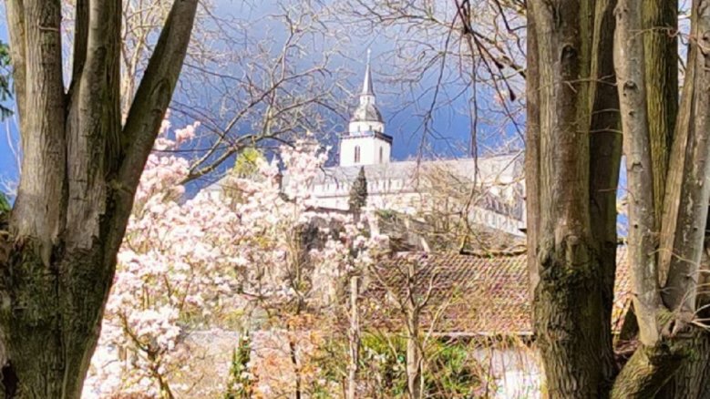 Abtei Michaelsberg zwischen dunklen Wolken und blühenden Bäumen.